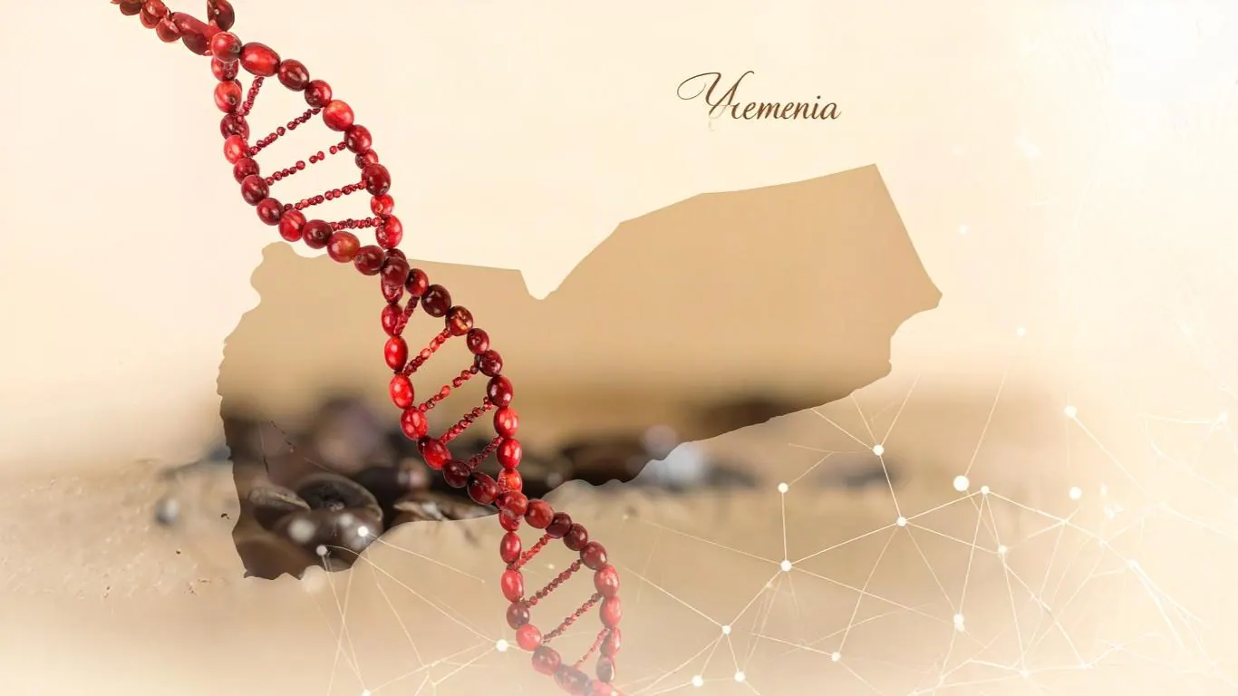 The DNA of Yemeni coffee — heritage and origin